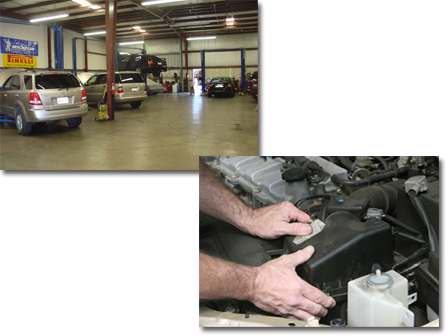 shop photo